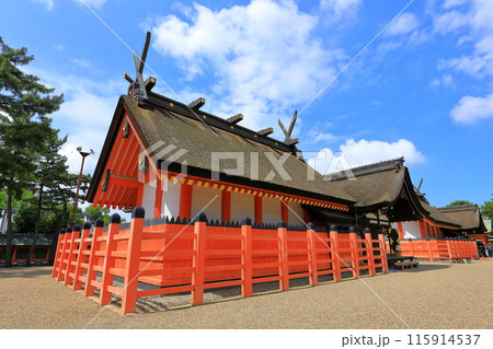 住吉大社 国宝「住吉造」本殿 住吉大社 国宝「住吉造」本殿 115914537
