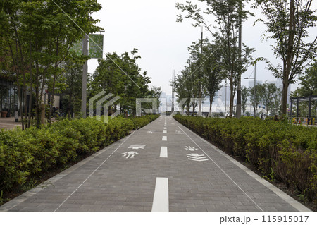 晴海埠頭　周辺の風景 115915017