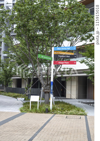 晴海埠頭　周辺の風景 115915018