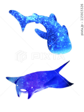 ジンベエザメとマンタ 115915326