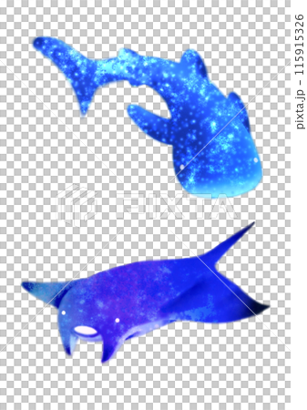 ジンベエザメとマンタ 115915326