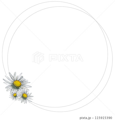 Round frame of watercolor daisies. Hand drawn, isolated on white background Round frame of watercolor daisies. Hand drawn, isolated on white background 115915390
