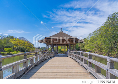 奈良公園 浮見堂 奈良公園 浮見堂 115915818