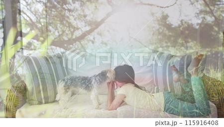 Composite image of tall trees in the forest against caucasian girl playing with her dog on the couch Composite image of tall trees in the forest against caucasian girl playing with her dog on the couch 115916408