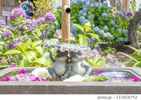 早稲田駅 法輪寺の花手水 早稲田駅 法輪寺の花手水 115916752