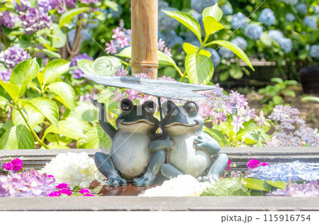 早稲田駅　法輪寺の花手水 115916754