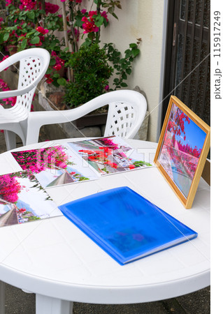 展示会場・案内会場風景　運河に咲き誇る日奈久ブーゲンビリアロード　(八代市日奈久町) 115917249