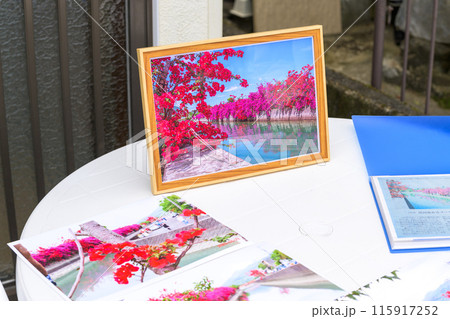 展示会場・案内会場風景 運河に咲き誇る日奈久ブーゲンビリアロード (八代市日奈久町) 展示会場・案内会場風景 運河に咲き誇る日奈久ブーゲンビリアロード (八代市日奈久町) 115917252