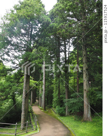 箱根ー芦ノ湖の風景 箱根ー芦ノ湖の風景 115917524