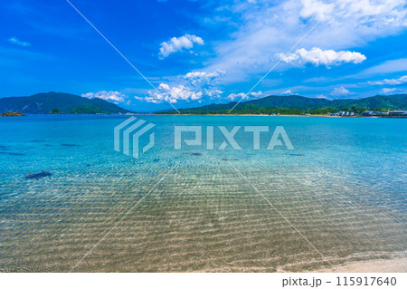 京都　丹後半島　初夏の海岸風景 115917640