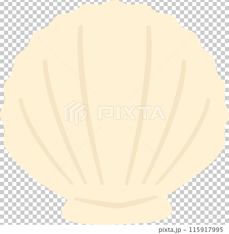 貝殼或貝殼插圖素材,白色貝類 貝殼或貝殼插圖素材,白色貝類 115917995