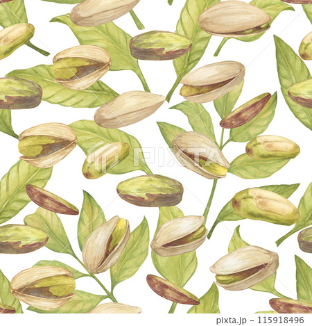 Seamless pattern with pistachio nut watercolor illustration,leaves,, floating in the air composition. Botanical drawing sketch stylized. Hand drawn, suitable for food packaging design 115918496