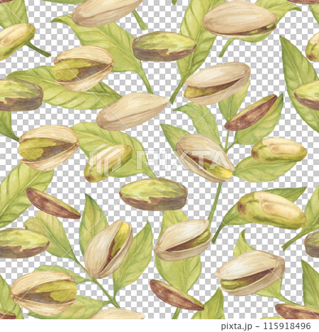 Seamless pattern with pistachio nut watercolor illustration,leaves,, floating in the air composition. Botanical drawing sketch stylized. Hand drawn, suitable for food packaging design 115918496
