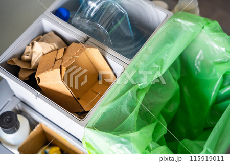 Household bins for waste sorting in the kitchen for recycle. Plastic, paper, bio and mixed waste. Sorting waste at home concept 115919011