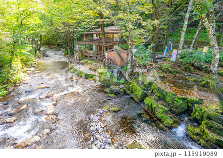龍泉洞園地　カフェ　Ponte　清水川 115919089
