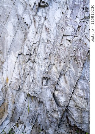 流紋岩　地表でマグマが急速に冷え固まって出来た火山岩　「節理」と呼ばれる割れ目 115919230