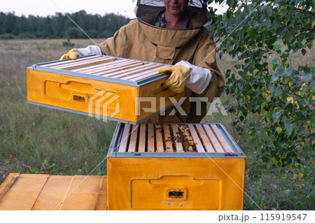 A beekeeper, a woman in a protective suit against bee stings, holds a frame with honey from a bee hive in her hands. Beekeeping, care of the hive 115919547