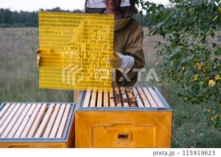 A beekeeper, a woman in a protective suit against bee stings, installs a separation grate in the hive. Beekeeping, care of the hive 115919623