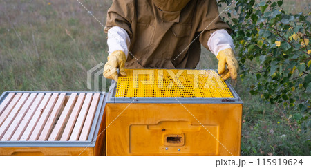 A beekeeper, a woman in a protective suit against bee stings, installs a separation grate in the hive. Beekeeping, care of the hive A beekeeper, a woman in a protective suit against bee stings, installs a separation grate in the hive. Beekeeping, care of the hive 115919624