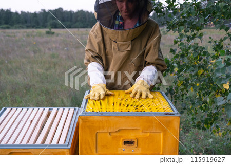 A beekeeper, a woman in a protective suit against bee stings, installs a separation grate in the hive. Beekeeping, care of the hive 115919627