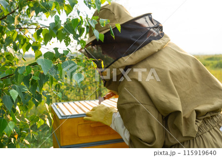 A beekeeper, a woman in a protective suit against bee stings, holds a frame with honey from a bee hive in her hands. Beekeeping, care of the hive 115919640