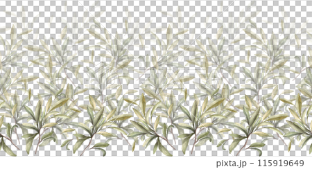 Olive branch, no fruit with green leaves. Watercolor botanical floral seamless border, pattern Hand drawn nature leaf illustration for food oil label paper, wallpaper, packaging on isolated background Olive branch, no fruit with green leaves. Watercolor botanical floral seamless border, pattern Hand drawn nature leaf illustration for food oil label paper, wallpaper, packaging on isolated background 115919649