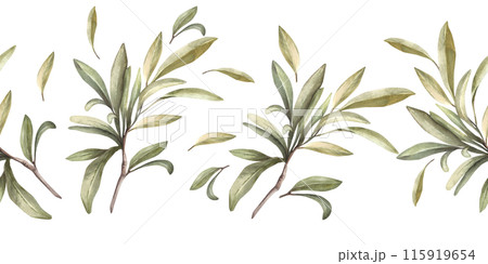 Olive branch, no fruit with green leaves. Watercolor botanical floral seamless border, pattern Hand drawn nature leaf illustration for food oil label paper, wallpaper, packaging on isolated background 115919654