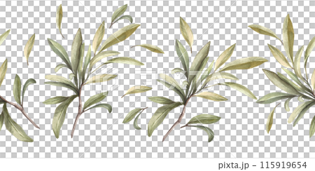 Olive branch, no fruit with green leaves. Watercolor botanical floral seamless border, pattern Hand drawn nature leaf illustration for food oil label paper, wallpaper, packaging on isolated background 115919654