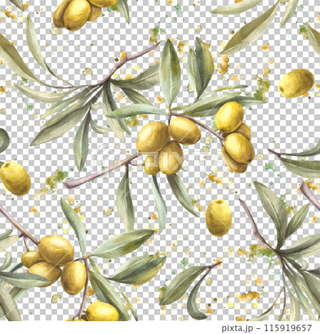 Olive tree branch with green leaves and berries on watercolor splashes stains background. Seamless pattern Hand painted illustration Botanical clipart for oil food packing, textile wallpaper. Isolated 115919657
