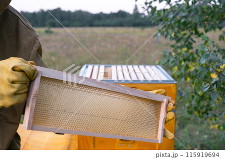 A beekeeper, a woman in a protective suit against bee stings, holds a empty frame with wax from a bee hive in her hands. Beekeeping, care of the hive, mock up 115919694