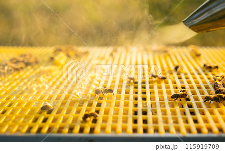 The bee cigarette lighter on the hive fumigates bees with smoke 115919709