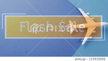 Image of flash sale text over plane on blue background 115919956