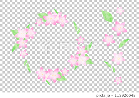 サクラウツギ 115920048