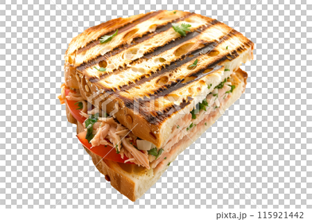 Grilled Tuna Melt panini sandwich on crusty bread isolated on white background 115921442
