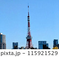 芝公園から見える東京タワー 115921529