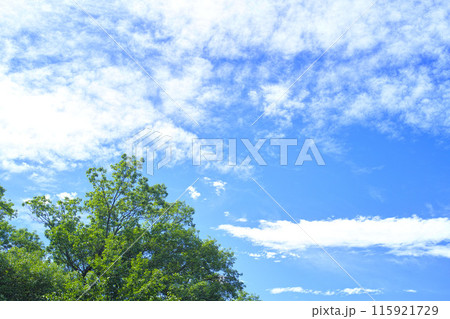 青空と雲イメージ 青空と雲イメージ 115921729