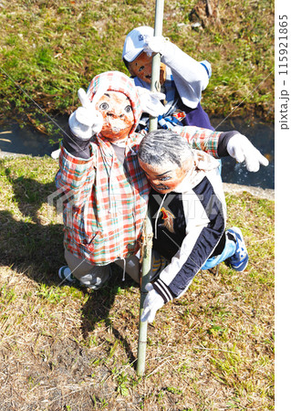 田舎の水田に設置された案山子たち 田舎の水田に設置された案山子たち 115921865