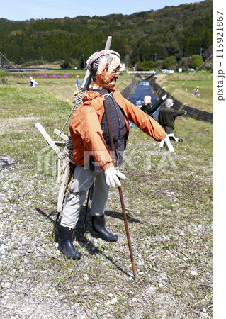 農作地に設置された案山子たち 農作地に設置された案山子たち 115921867