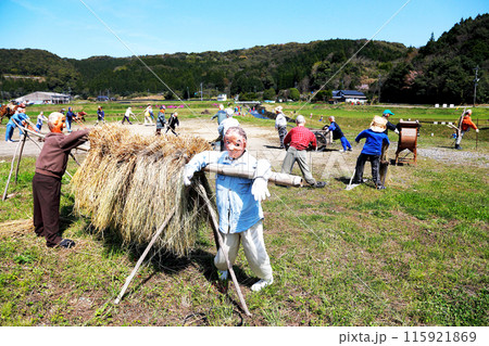 農作地に設置された案山子たち 農作地に設置された案山子たち 115921869