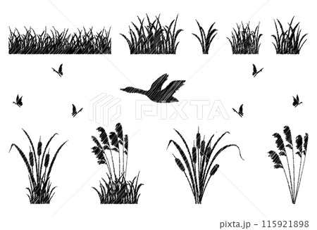 Set of silhouette elements of reeds and marsh grass. Simple vector illustration of swamp vegetation. Shadow of a mallard duck and duck Set of silhouette elements of reeds and marsh grass. Simple vector illustration of swamp vegetation. Shadow of a mallard duck and duck 115921898