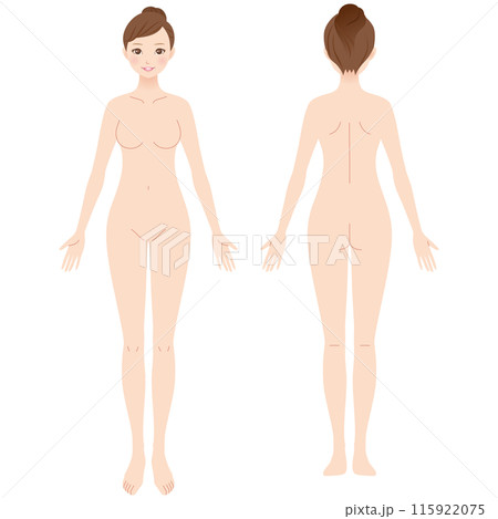 女性の全身図　美容 115922075