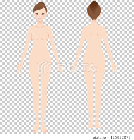 女性の全身図　美容 115922075