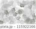 斑模様の背景素材 115922166