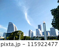 港の見える丘公園からの風景 115922477
