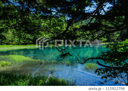 夏のオンネトー 夏のオンネトー 115922706