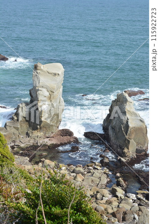 岩のある海岸 115922723