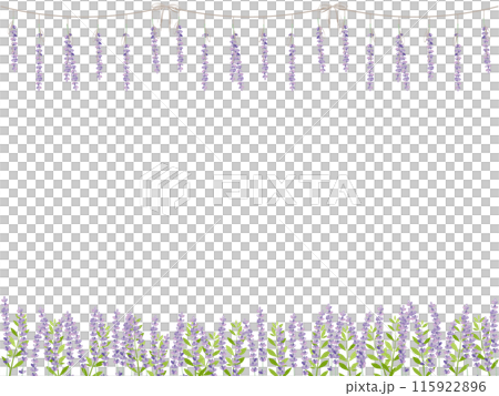 ナチュラルなラベンダーのフレーム背景イラスト 115922896