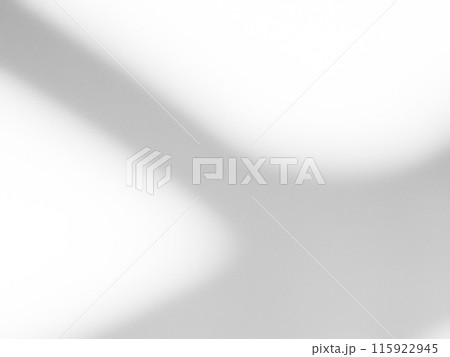 Shadow Background Effect Mockup Frame Abstract Technology Business Black Grey Shade Design blur Cement Wall Floor Minimal Empty Backdrop Overlay Light Nature Leaves Window White Template Summer. 115922945