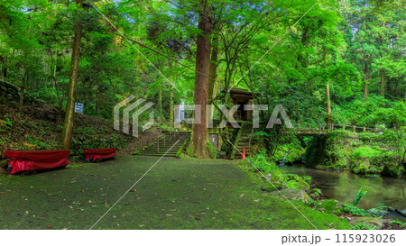 白糸の滝パノラマ風景 「数十万年前の火山岩からなる美しい白糸の滝(別名「寄姫の滝」)」 阿蘇郡西原村 白糸の滝パノラマ風景 「数十万年前の火山岩からなる美しい白糸の滝(別名「寄姫の滝」)」 阿蘇郡西原村 115923026