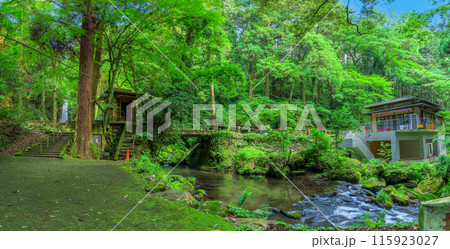 白糸の滝パノラマ風景 「数十万年前の火山岩からなる美しい白糸の滝(別名「寄姫の滝」)」 阿蘇郡西原村 白糸の滝パノラマ風景 「数十万年前の火山岩からなる美しい白糸の滝(別名「寄姫の滝」)」 阿蘇郡西原村 115923027